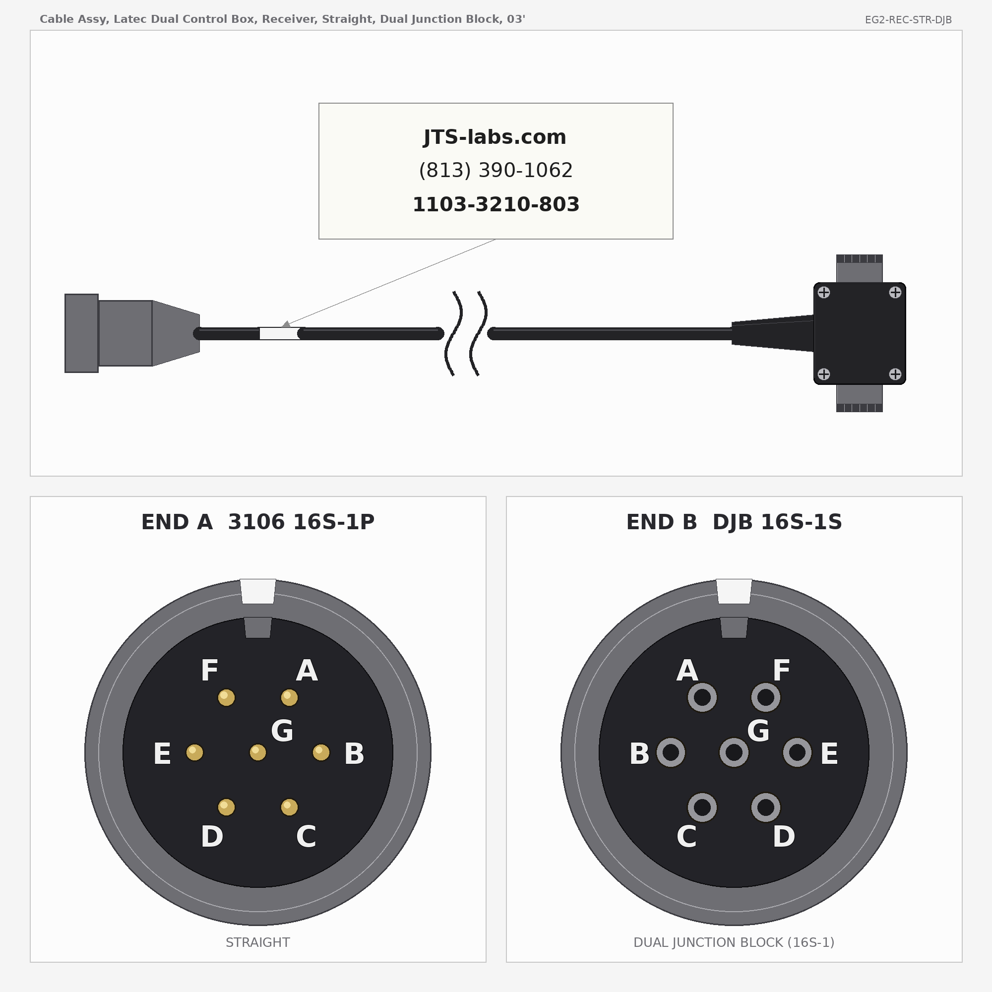 Line drawing of EG2-REC-STR-DJB cable assembly
